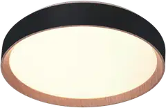 FocusLight Primus kattovalaisin halk:39cm, 36W, Musta, sis.kaukosäädin, koukkukiinnitys ja sisältää pistotulpan, IP20 - 2