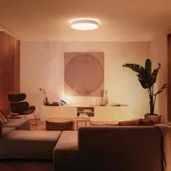 Philips Hue Enrave - kattovalaisin 48W 2200-6500K 6100LM XL valkoinen - 6