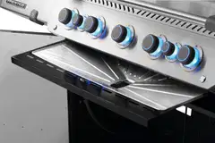 Napoleon rasvapellinsuojus Prestige P665 Connected - 2