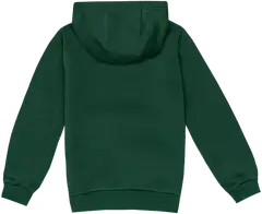 Nike lasten collegehuppari NSW Club FD2988-323 - Green - 3