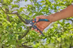 Gardena oksasakset  premiumcut pro flex - 3