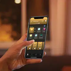 Philips Hue kattovalaisin Still musta - 7