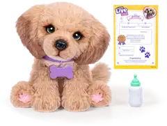 LLP My Really Real Daxie Puppy - 2