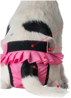 Finnero ballerina pestävä narttusuoja koiralle pinkki l - Pinkki - 3