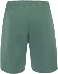 Cheetah miesten collegeshortsit CMS3707 - oak green - 3