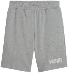Puma miesten collegeshortsit Puma Shorts - Medium gray heather - 1