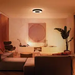 Philips Hue Infuse -kattovalaisin 53W 2000-6500K 3700LM iso musta - 8