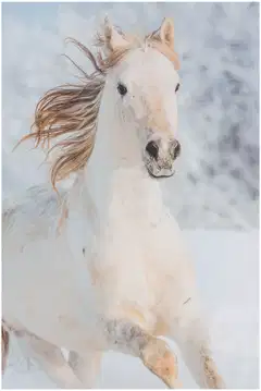 Ciraf lasten pussilakanasetti Horse digital print 150x210 cm - 2