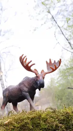 CollectA lelu Hirvi L - 3