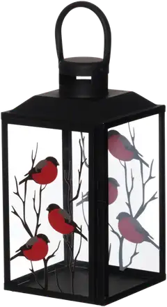 4Living Lyhty punatulkku 33 cm display - 2