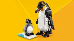 LEGO® Creator 31165 Villieläimet: Pandaperhe - 5