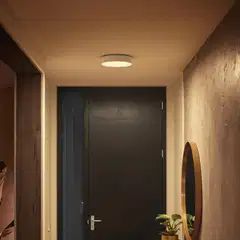 Philips Hue Enrave -kattovalaisin 10W 2200-6500K 1220LM pieni valkoinen - 5