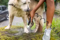 Kärcher matalapainepesuri OC 4 Plus Pet - 4