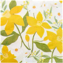 Havi Lilian lautasliina 20kpl/33cm - 1