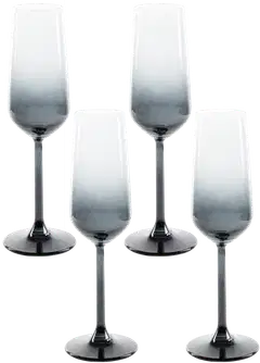 Rakle kuohuviinilasi Iconic 19,5 cl 4 kpl - 1