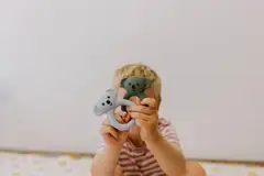 Jellystone purulelu Koala laventeli - 5