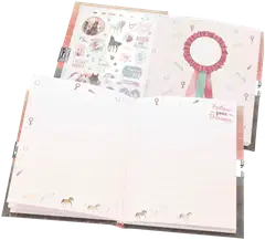 Miss Melody päiväkirja - 4