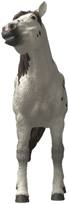 Schleich Knabstrupinhevonen, ruuna - 2