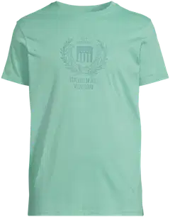 Vinson miesten t-paita Samuel 105558 - Creme de menthe - 2