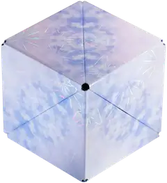 Fun in Motion Toys Shashibo Polar - 2