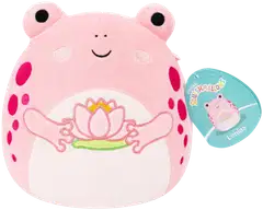 Squishmallows 19 cm P27 pehmo A ja C - 2