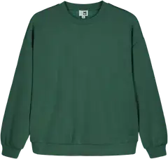 WKLY. naisten scuba-pusero 213W301100 - Laurel wreath - 1