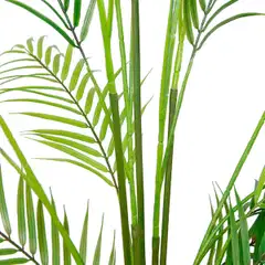 Lykke tekokasvi areca palm 150cm - 3
