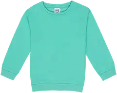 Ciraf lasten collegepusero 25TC260205 - Green - 1