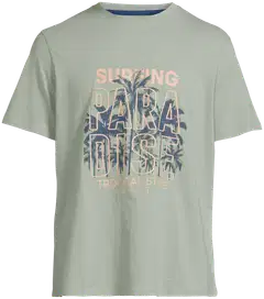 House miesten t-paita Palm Beach 195H152613 - Sage Green - 2