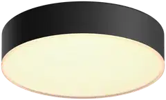 Philips Hue Enrave -kattovalaisin 10W 2200-6500K 1220LM pieni musta - 1