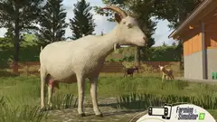 NSW Farming Simulator 26: Nintendo Switch Edition - 4