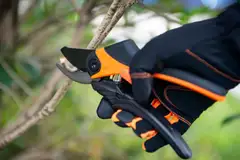 Kendo Bypass-oksasakset 8“/200mm - 5