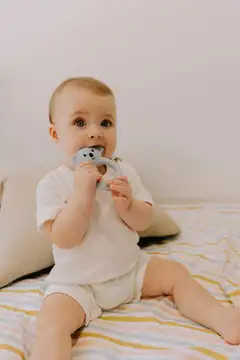 Jellystone purulelu Koala laventeli - 4