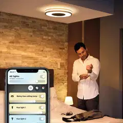 Philips Hue Being -kattovalaisin 23W 2200-6500K 2500LM musta - 6