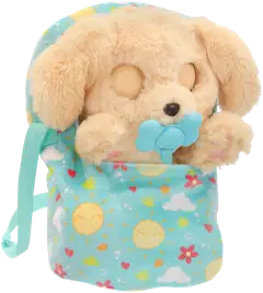 Baby Paws Labradori - 4