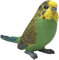 Schleich Undulaatti - 1