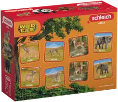 Schleich Wild Life "Aasia" setti - 2