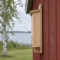 WildYard Big Bat Box lepakkopönttö, 1 kammio, setripuu, luonnonvärinen - 4