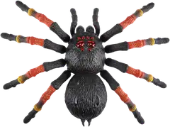 Giant Tarantula S1 - 3