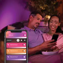 Philips Hue Resonate -seinävalaisin ulkokäyttöön 16W 2000-6500K 1180LM musta - 6