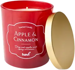 Havi Apple & Cinnamon tuoksukynttilä 1kpl/8x9cm - 1