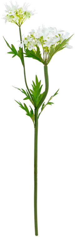 Teko-oksa, erilaisia - 6
