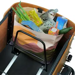 Babboe Curve Mountain tavarasähköpyörä 20/26" - 8