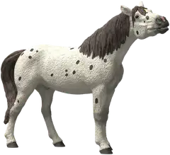 Schleich Knabstrupinhevonen, ruuna - 1