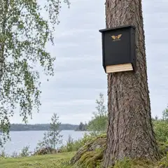 WildYard Big Bat Box lepakkopönttö, 2 kammiota, setripuu, musta - 4
