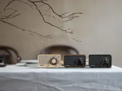 Sangean WR-8 Bluetooth pöytäradio, pähkinä - 7