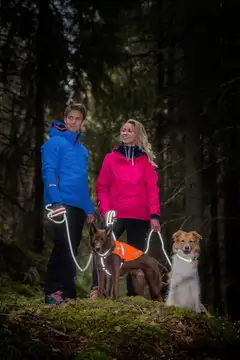 Icepeak Pet koiran heijastinliivi Prozone M oranssi - 3