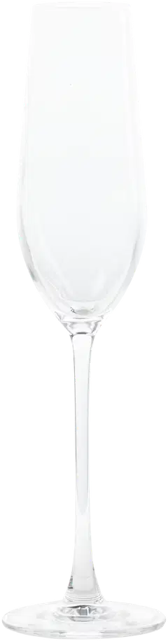 House kuohuviinilasit Prima 20 cl 4-pack - 2