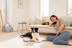 Beurer PP220 Sammy lemmikin lämpömatto L-koko - 6