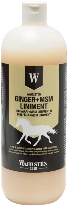 Wahlsten linimentti inkivääri + msm 1l - 1
